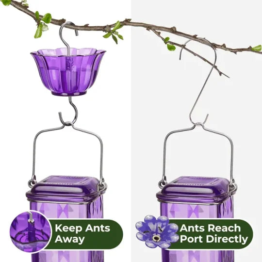 24oz Leak Proof Glass Hummingbird Feeder