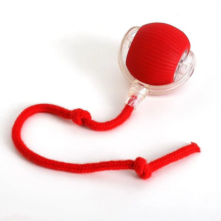 Active Rolling Ball with Tail for Dogs