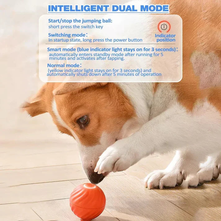 Active Rolling Ball Anti-Anxiety Automatic Moving Ball
